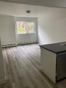 Fully Renovated Unit Available June 1! - Photo 5
