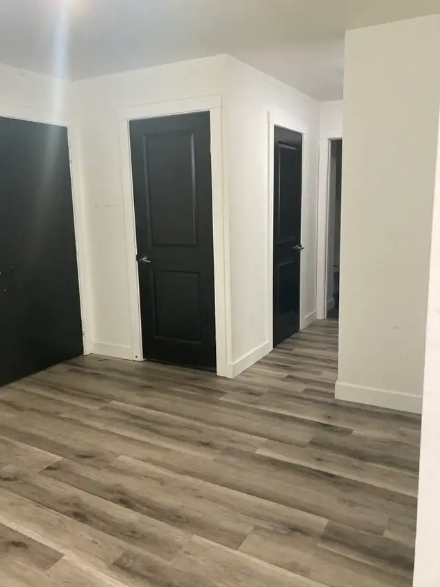 Fully Renovated Unit Available June 1! - Photo 6