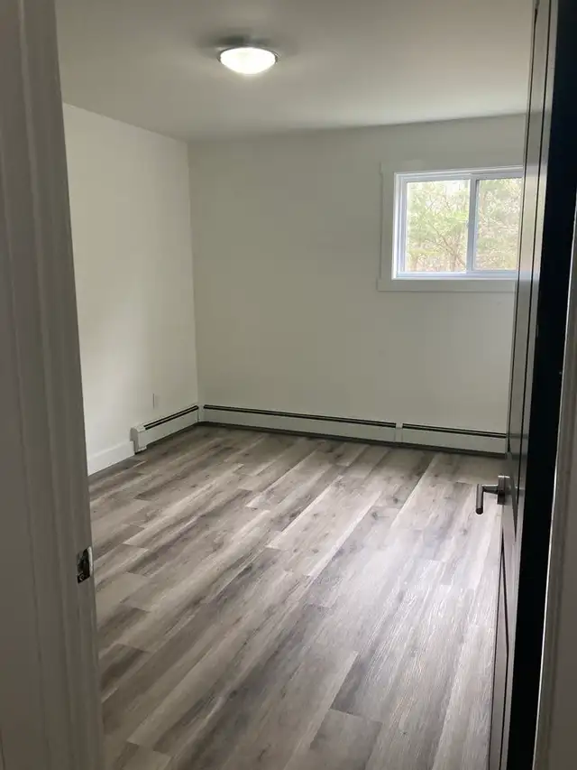 Fully Renovated Unit Available June 1! - Photo 7