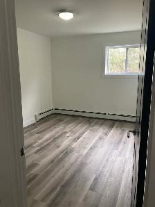 Fully Renovated Unit Available June 1! - Photo 7
