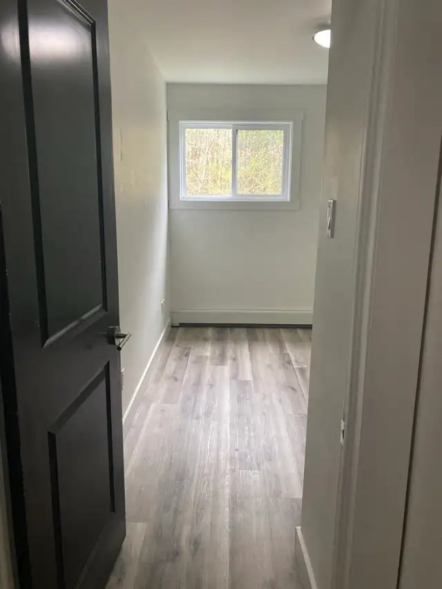 Fully Renovated Unit Available June 1! - Photo 9