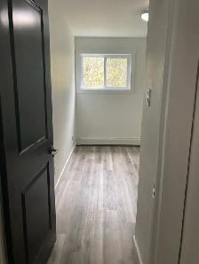 Fully Renovated Unit Available June 1! - Photo 9