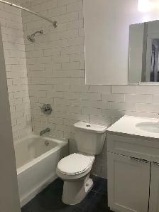 Fully Renovated Unit Available June 1! - Photo 11