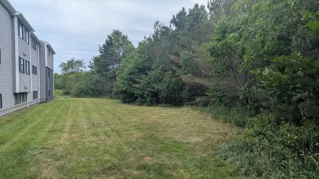 Fully Renovated Unit Available June 1! - Photo 12