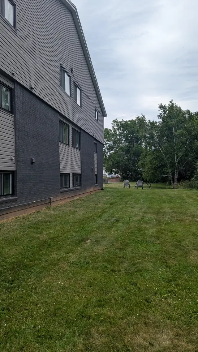 Fully Renovated Unit Available June 1! - Photo 13