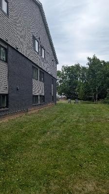 Fully Renovated Unit Available June 1! - Photo 13