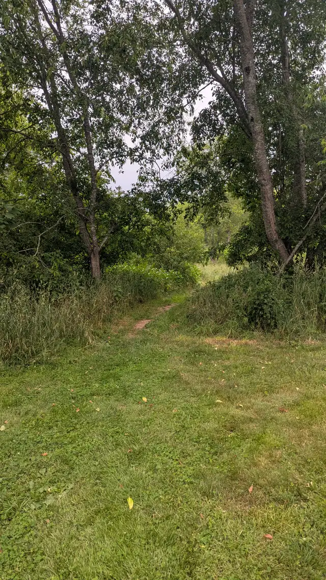 Fully Renovated Unit Available June 1! - Photo 15