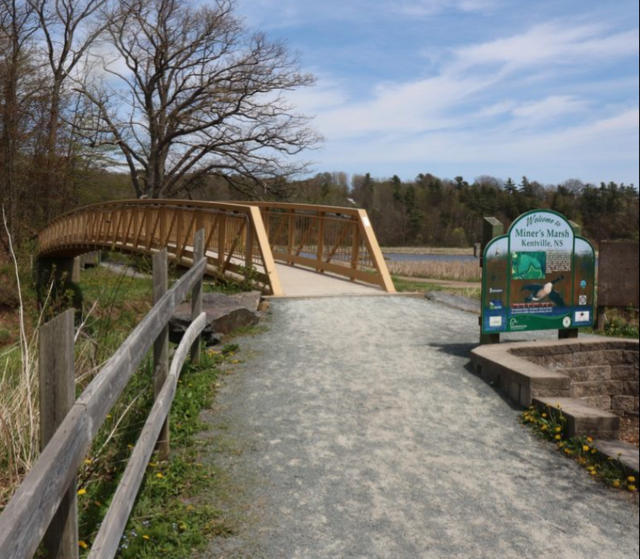 Fully Renovated Unit Available June 1! - Photo 17