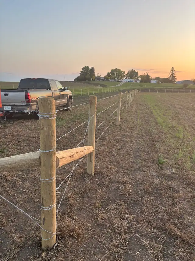 Cattle Fencing