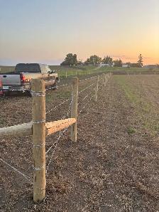 Cattle Fencing