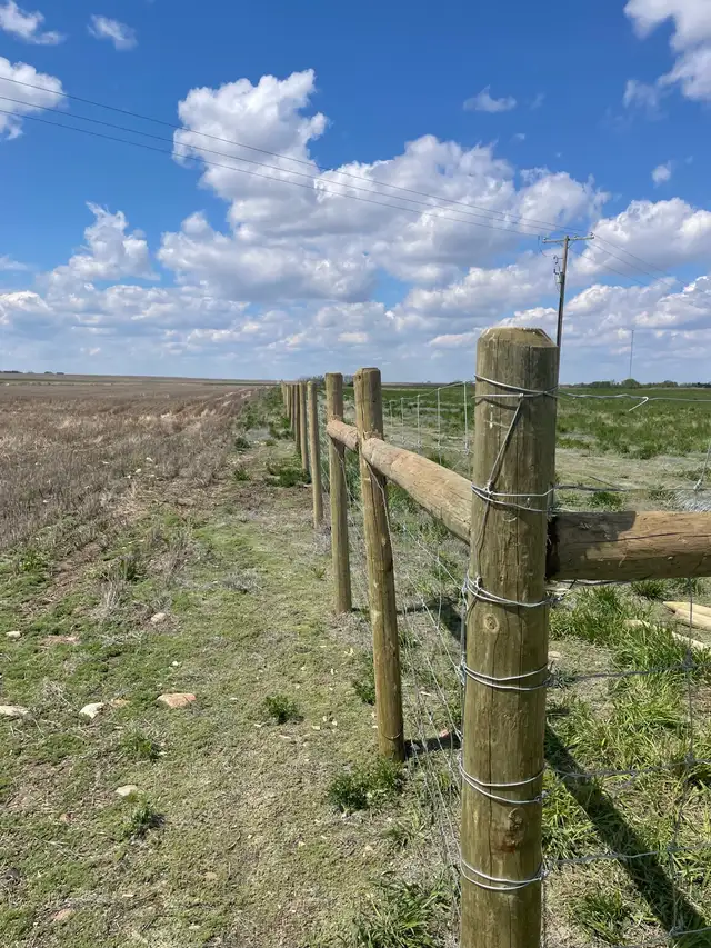 Cattle Fencing - Photo 2