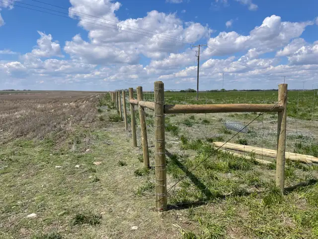 Cattle Fencing - Photo 3