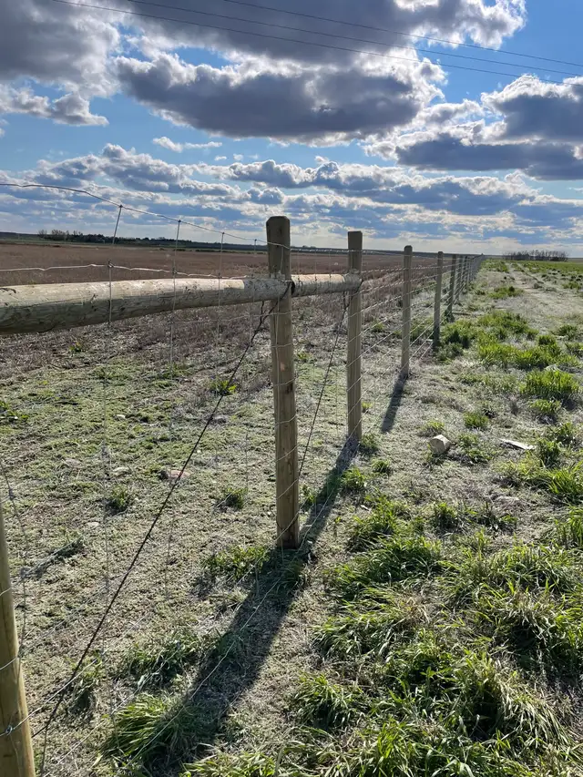 Cattle Fencing - Photo 4