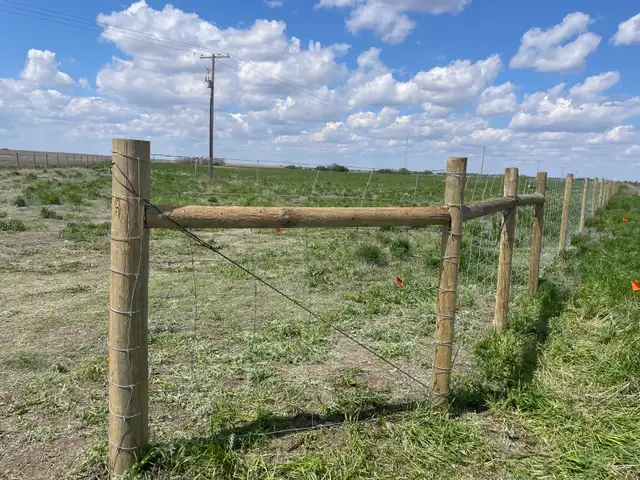Cattle Fencing - Photo 5