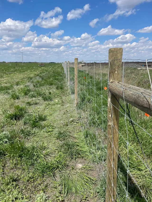 Cattle Fencing - Photo 6