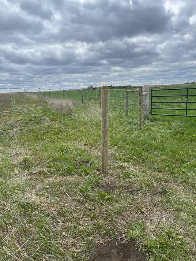 Cattle Fencing - Photo 7