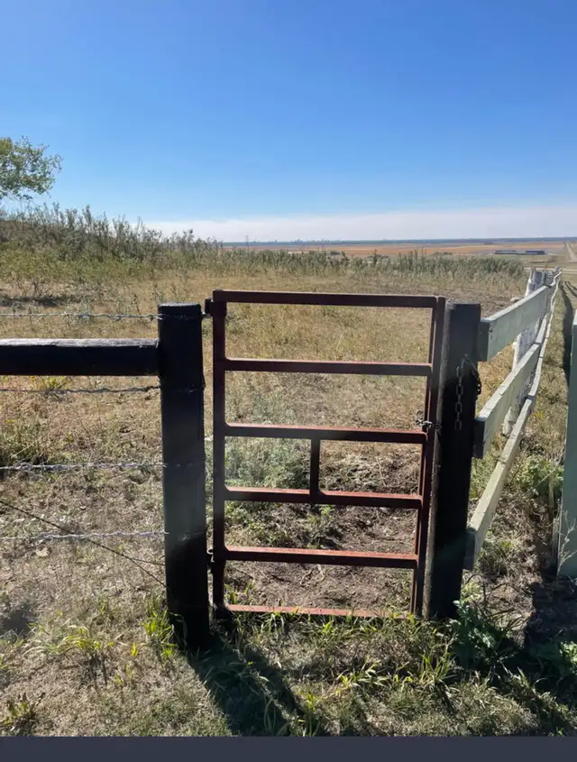 Cattle Fencing - Photo 8