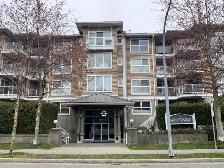 Richmond Waterside updated one bedroom condo near YVR for rent!