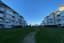 Richmond Waterside updated one bedroom condo near YVR for rent! - Photo 10