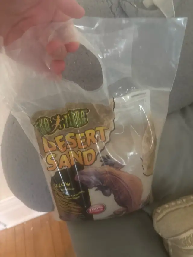 Red Hypo Bearded Dragon for rehoming! - Photo 6