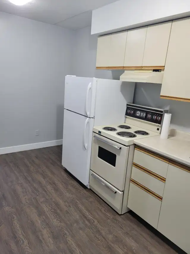 Bachelor Available for June in Minnow Lake