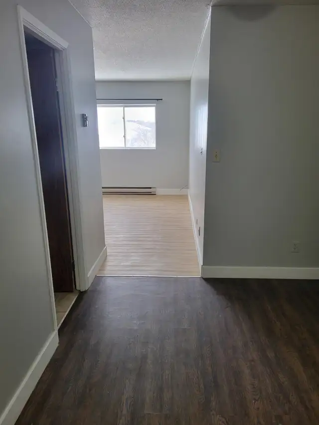 Bachelor Available for June in Minnow Lake - Photo 4