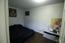 1 Bed 1 Bath Apartment - Photo 4