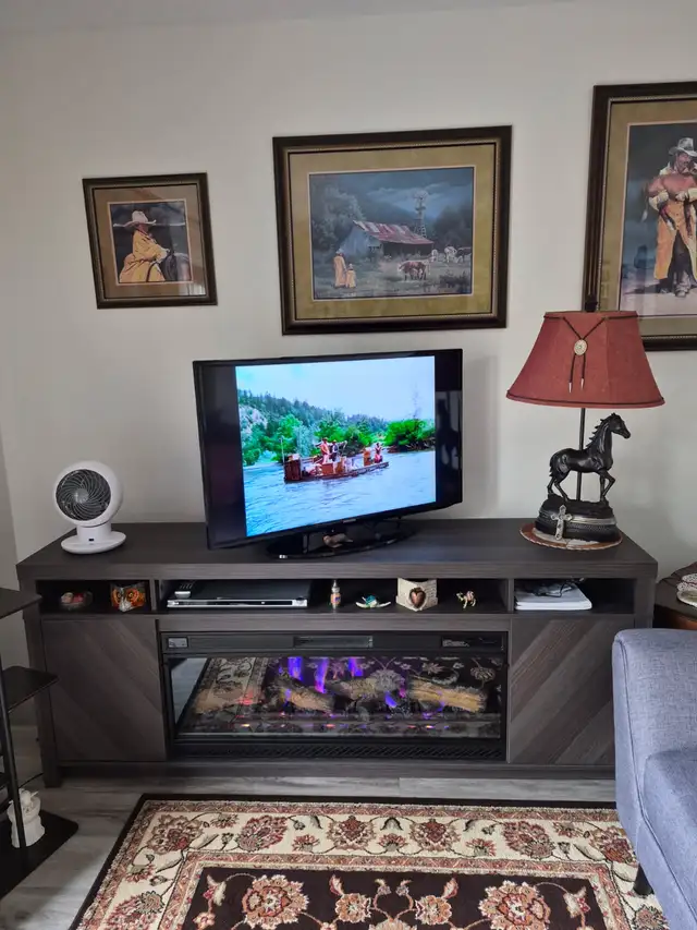 Electric Fireplace with 6 different flame colors