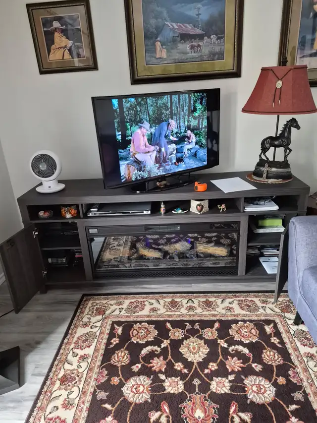 Electric Fireplace with 6 different flame colors - Photo 2