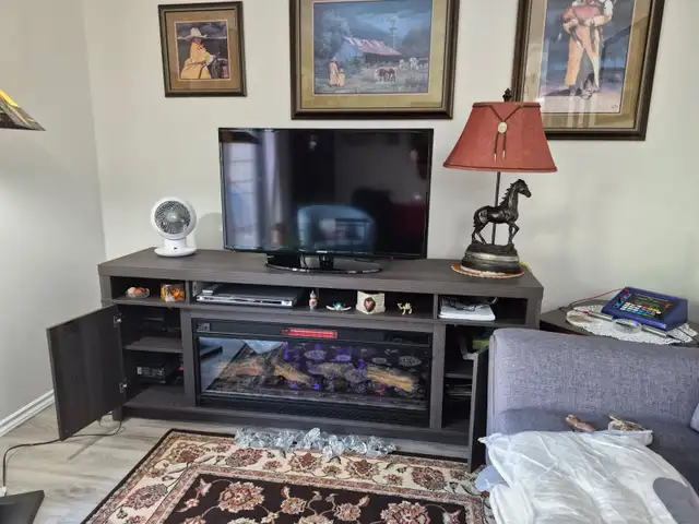 Electric Fireplace with 6 different flame colors - Photo 4