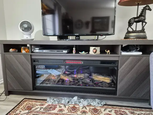 Electric Fireplace with 6 different flame colors - Photo 5