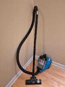 Aspirateur Traineau de Marque Bissell