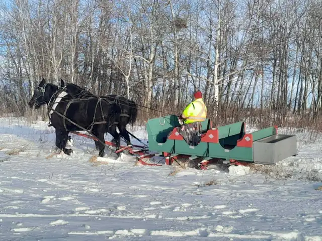 Horse drawn Sleigh - Photo 3
