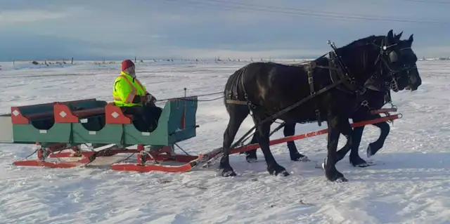 Horse drawn Sleigh - Photo 4