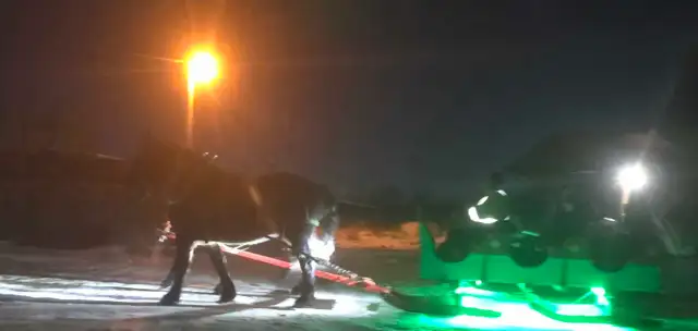 Horse drawn Sleigh - Photo 5