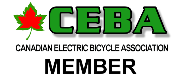 Electric Bike and Electric Scooter Repair - Photo 2