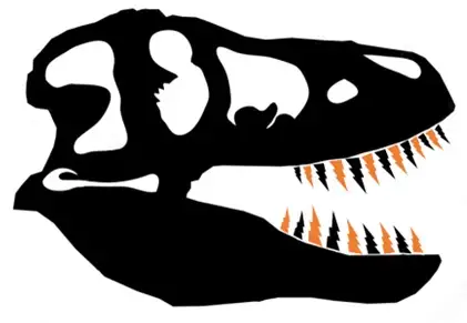 Electric Bike and Electric Scooter Repair - Photo 3