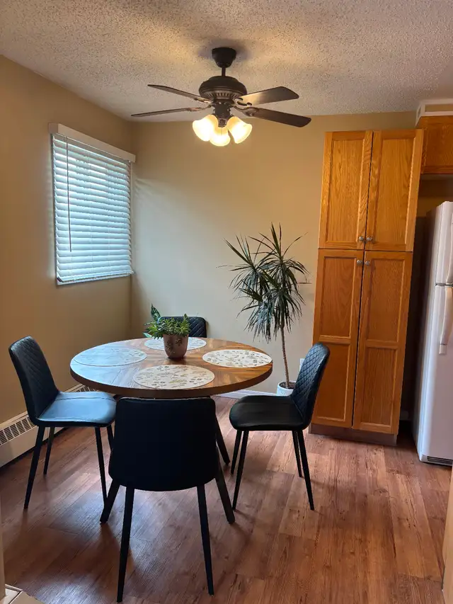 Red Deer 1 bdrm suite 1090 per mth incl all utilities but power - Photo 3