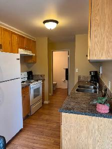 Red Deer 1 bdrm suite 1090 per mth incl all utilities but power - Photo 4