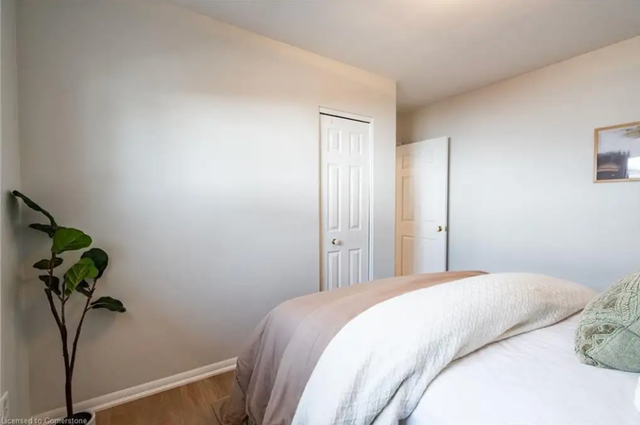 2 Bedroom Apartment for Rent $1500 - Photo 5