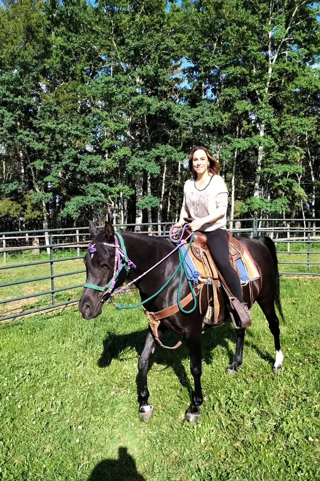 Pure  Egyptian Arabian Mare for Sale - Photo 3