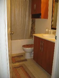 Fully furnished one bedroom apartment available in Toronto - Photo 6