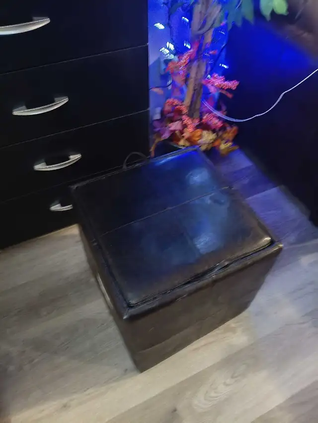 Free Sofabed and matching ottoman