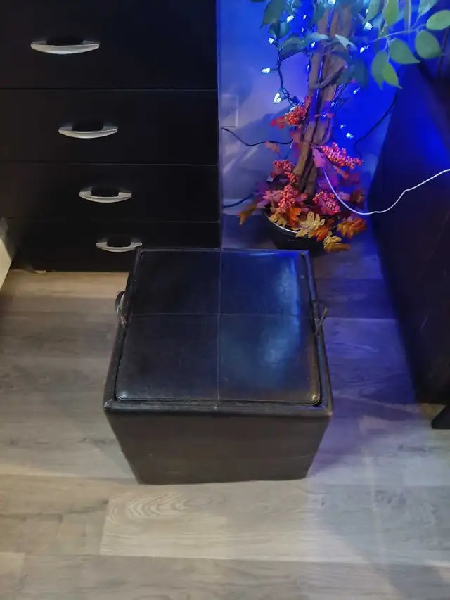 Free Sofabed and matching ottoman - Photo 3