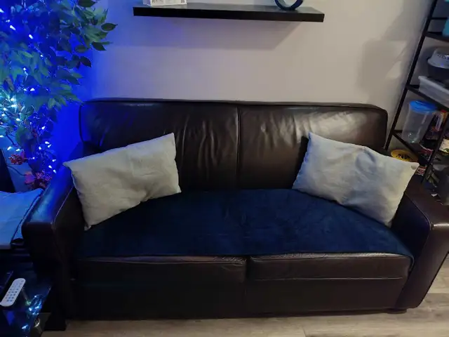 Free Sofabed and matching ottoman - Photo 5