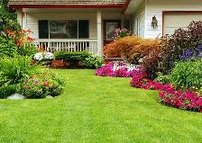 Grass cutting / tree trimming Bolton, GTA