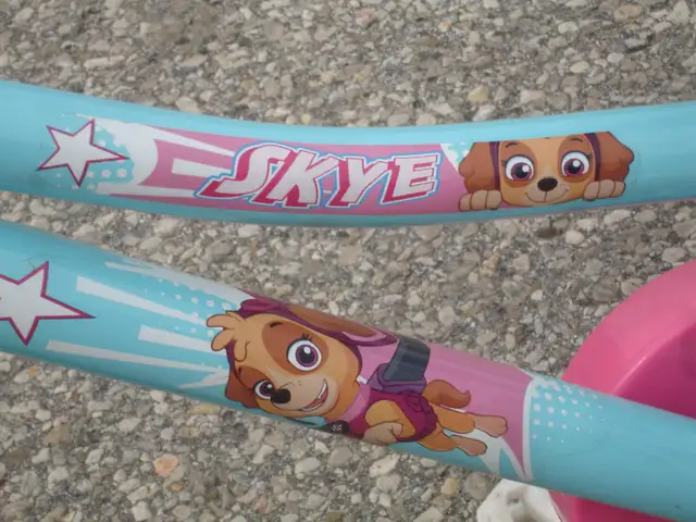 OUTGROWN & LIKE NEW GIRL'S  14' PAW PATROL SKYE BIKE $40.00! - Photo 5