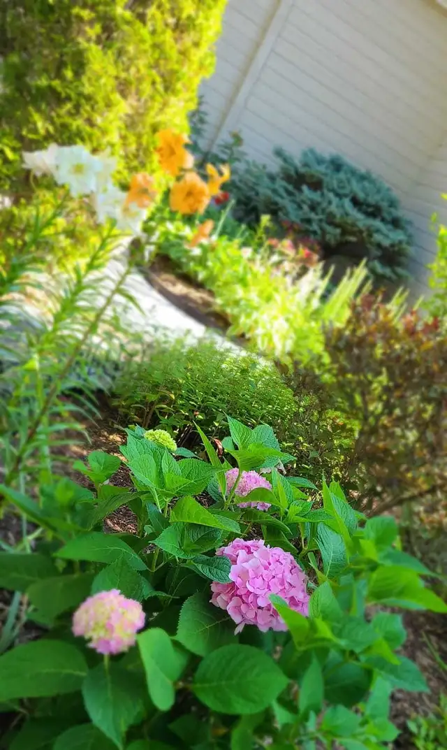 PRIVATE GARDENER (and florist)