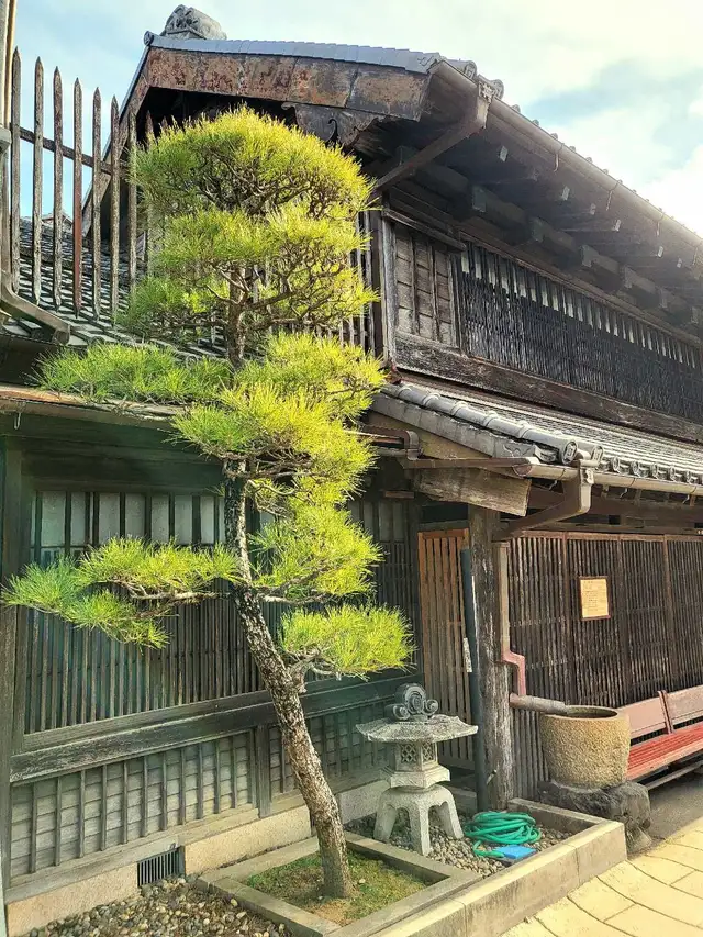 PRIVATE GARDENER (and florist) - Photo 4