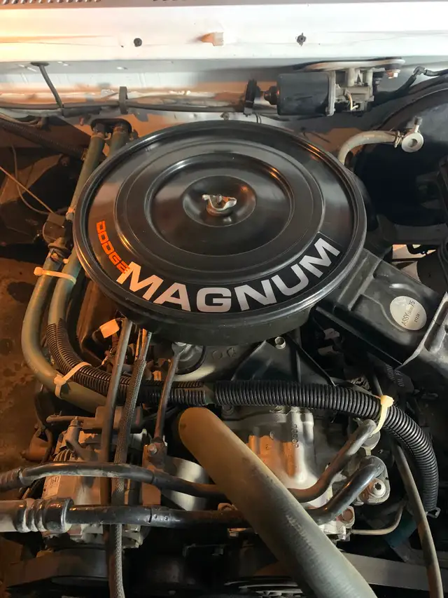 1993 Dodge D150 5.9 Magnum Clubcab shortbox - Photo 10